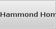 Hammond Home User Raid Data Recovery Services