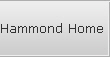 Hammond Home User Raid Data Recovery Services